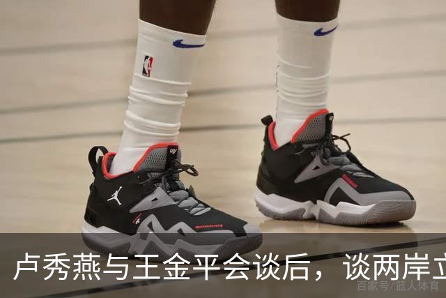 卢秀燕与王金平会谈后，谈两岸立场引发争议